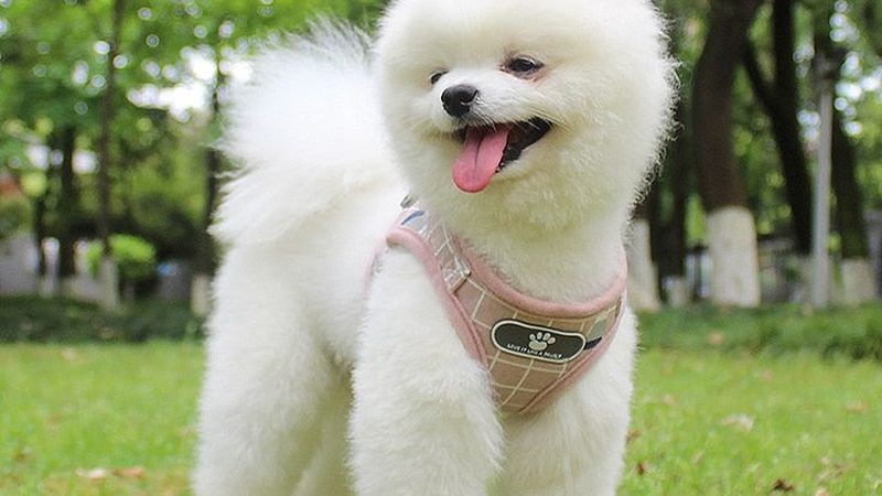中央空调维修，收费标准如何规范？**